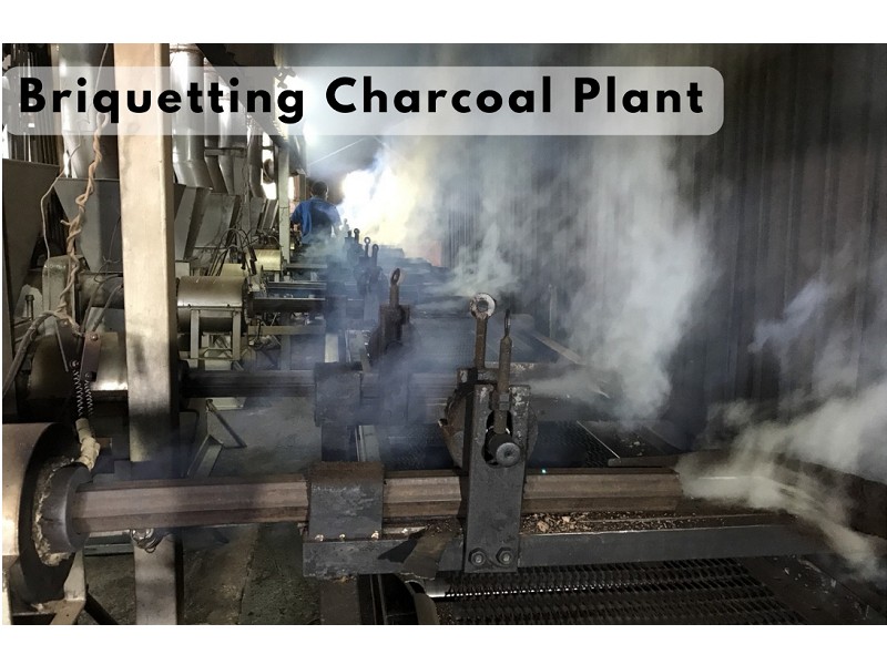 Briquette Charcoal Plant